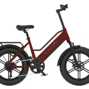 TAUBIK ASPECT ROUGE